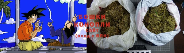 соль ск Гусев