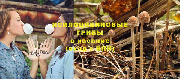 соль ск Гусев