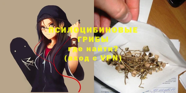 экстази Гусиноозёрск