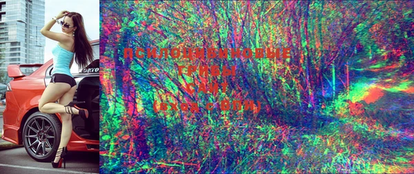 экстази Гусиноозёрск