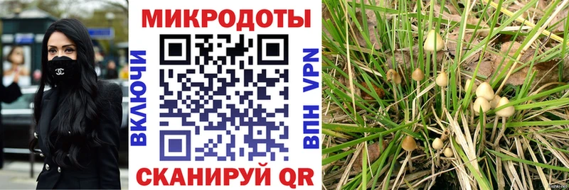 Галлюциногенные грибы мухоморы Купить закладки Чайковский